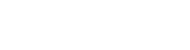 Luma Surveillance logo